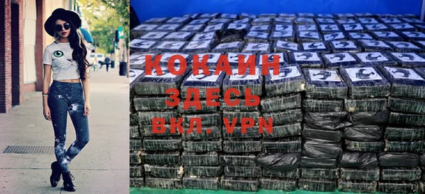 сатива Беломорск