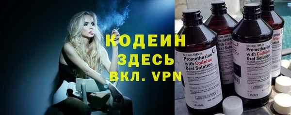 сатива Беломорск