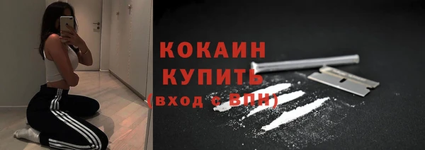 индика Белоозёрский