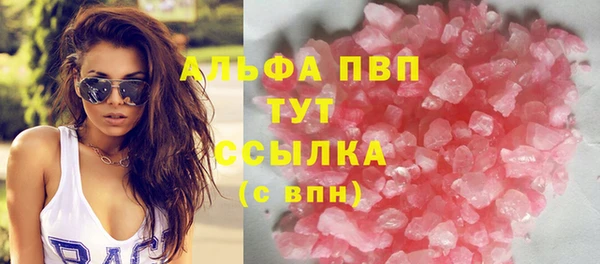 сатива Беломорск