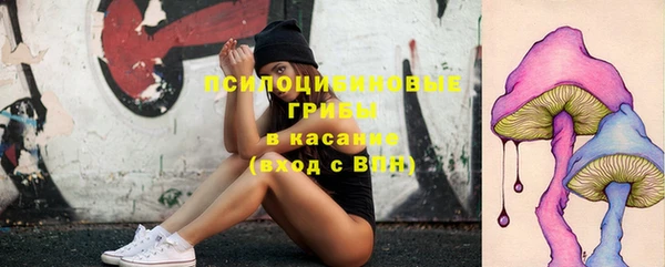 jwh Белокуриха
