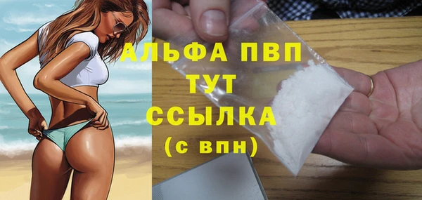 сатива Беломорск