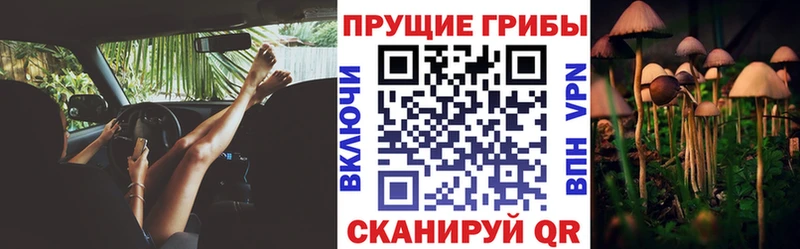 цена наркотик  Кунгур  blacksprut ссылки  Галлюциногенные грибы Psilocybe 